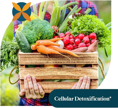 PATTERN WELLNESS - Pattern Wellness Odorless Organic Garlic 1000Mg. 30 Capsulas 2 Pack - The Red Vitamin MX - Suplementos Alimenticios - {{ shop.shopifyCountryName }}