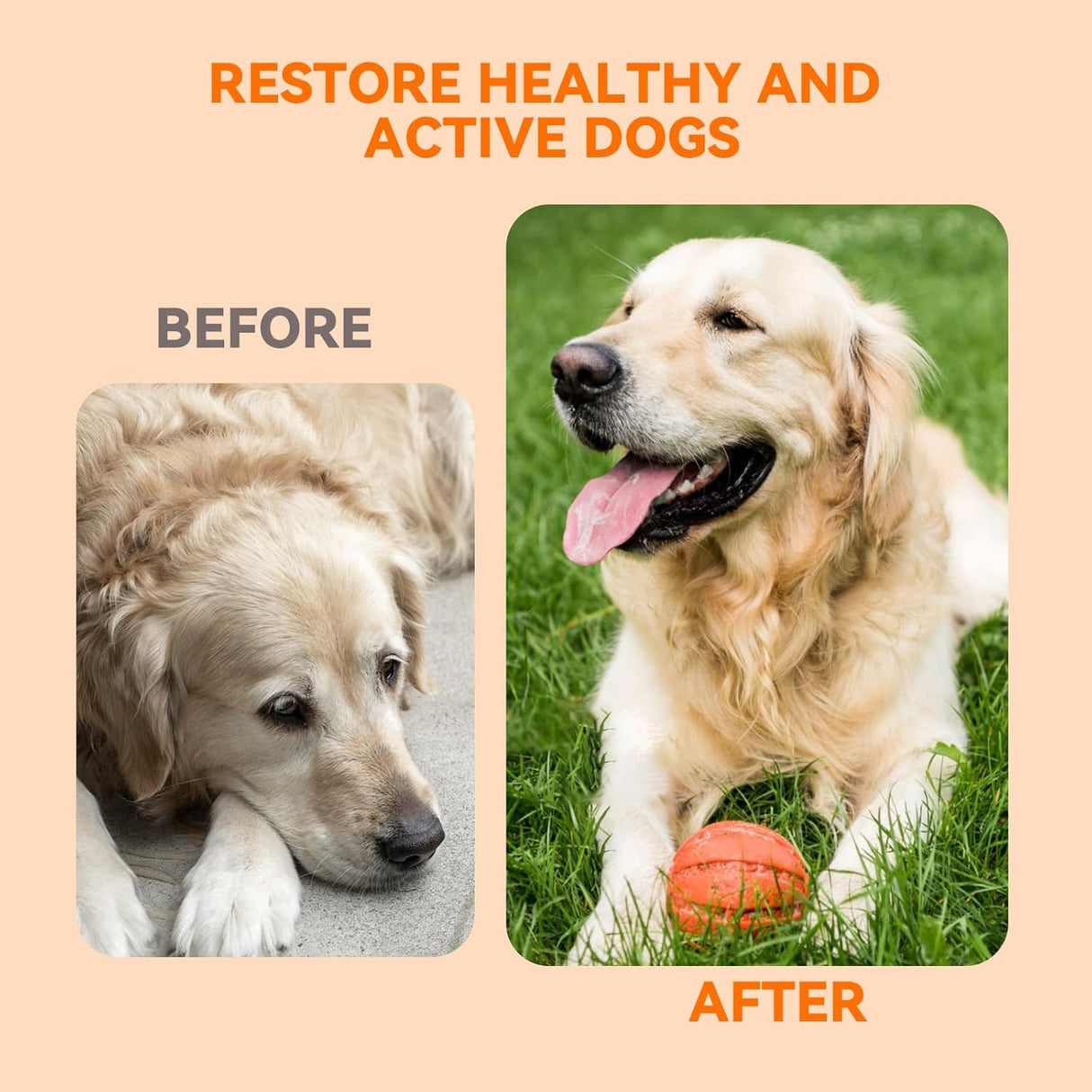 PUAINTA Dog Hip and Joint Supplement 30 Masticables