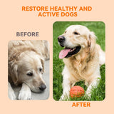 PUAINTA Dog Hip and Joint Supplement 30 Masticables