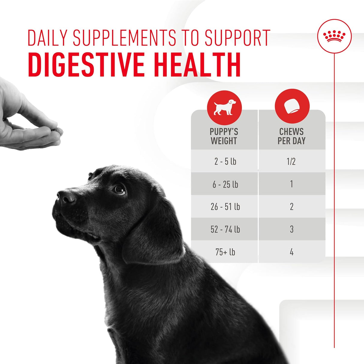 Royal Canin Puppy Supplement Immunity & Digestion Chew 60 Masticables