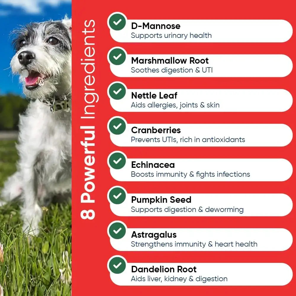 IHEARTDOGS - iHeartDogs Extra Strength Urinary, Bladder, & Kidney Support for Dogs 90 Masticables - The Red Vitamin MX - Salud De Tracto Urinario Para Perros - {{ shop.shopifyCountryName }}