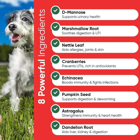 IHEARTDOGS - iHeartDogs Extra Strength Urinary, Bladder, & Kidney Support for Dogs 90 Masticables - The Red Vitamin MX - Salud De Tracto Urinario Para Perros - {{ shop.shopifyCountryName }}