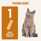 ivvi Skin & Coat for Cats 30 Paquetes