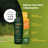 ROOTED OWL - Rooted Owl Turmeric Supplement for Dogs 60 Capsulas - The Red Vitamin MX - Cuidado De Cadera Y Articulaciones Para Perros - {{ shop.shopifyCountryName }}