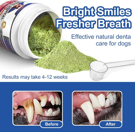 COLEAZE - ColEaze Dog Teeth Cleaning Powder 180Gr. - The Red Vitamin MX - Cuidado Dental Para Perros - {{ shop.shopifyCountryName }}