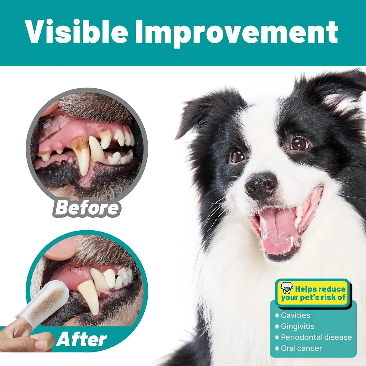 SMILEDENX - SmileDenX Dog Dental Care Finger Wipes Honey Scent 50 Toallitas - The Red Vitamin MX - Cuidado Dental Para Perros - {{ shop.shopifyCountryName }}