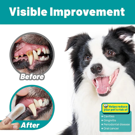 SMILEDENX - SmileDenX Dog Dental Care Finger Wipes Honey Scent 50 Toallitas - The Red Vitamin MX - Cuidado Dental Para Perros - {{ shop.shopifyCountryName }}