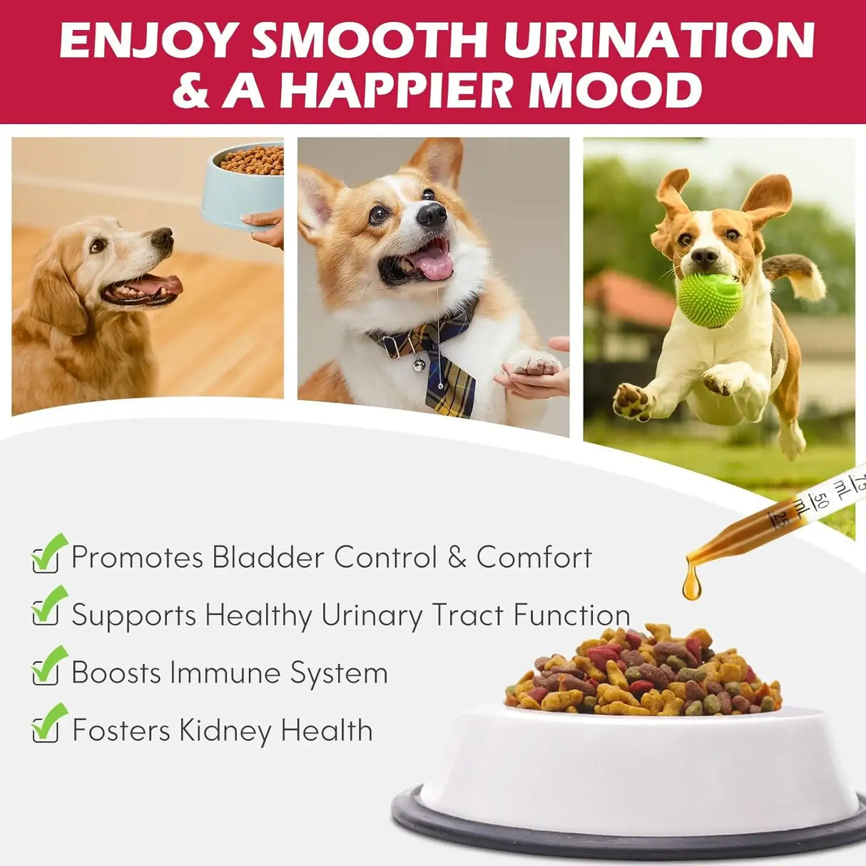 XSVSEIE - Xsvseie Urinary Tract Drops for Dogs 60Ml. - The Red Vitamin MX - Salud De Tracto Urinario Para Perros - {{ shop.shopifyCountryName }}