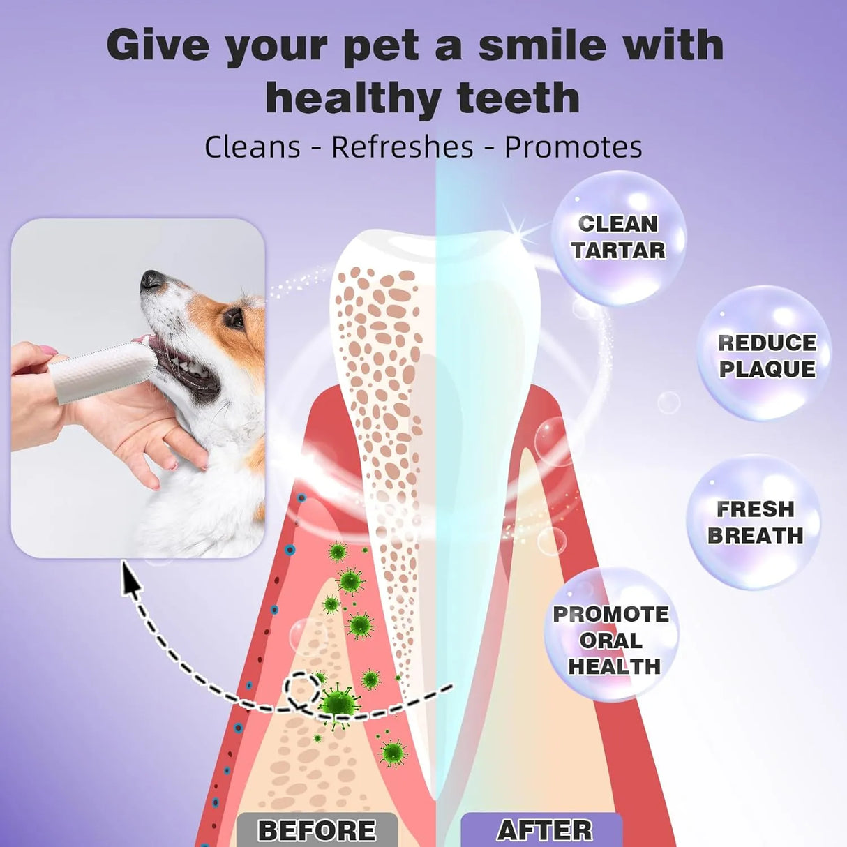 BOLYCEN - Bolycen Pet Dental Finger Wipes for Dogs & Cats Coconut 60 Toallitas - The Red Vitamin MX - Cuidado Dental Para Perros - {{ shop.shopifyCountryName }}