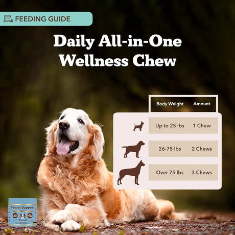 NATURAL DOG - Natural Dog Company Senior Dog Vitamins Chew 90 Masticables - The Red Vitamin MX - Multivitamínicos Para Perros - {{ shop.shopifyCountryName }}