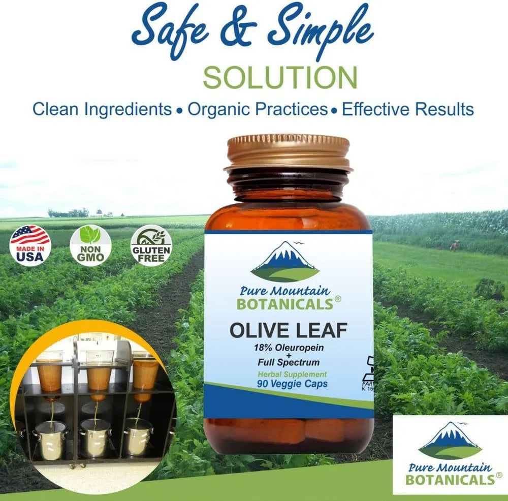 PURE MOUNTAIN BOTANICALS - Pure Mountain Botanicals Olive Leaf Extract 90 Capsulas - The Red Vitamin MX - Suplementos Alimenticios - {{ shop.shopifyCountryName }}