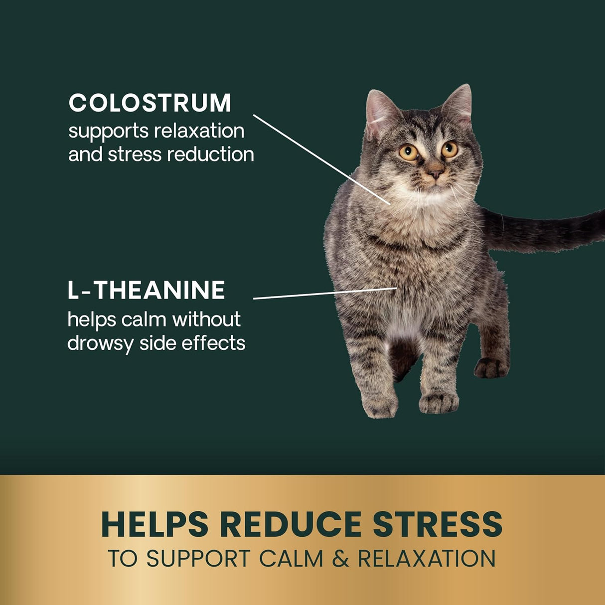 VetriScience Composure Calming Formula for Cats Trout 30 Masticables