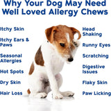 WELL LOVED - Well Loved Dog Allergy Chews 120 Masticables - The Red Vitamin MX - Remedios Para La Picazón De Perros - {{ shop.shopifyCountryName }}