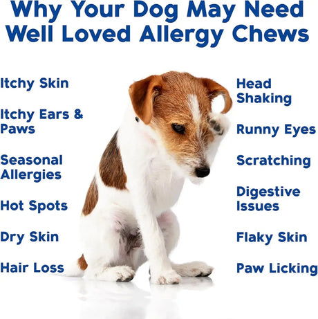 WELL LOVED - Well Loved Dog Allergy Chews 120 Masticables - The Red Vitamin MX - Remedios Para La Picazón De Perros - {{ shop.shopifyCountryName }}