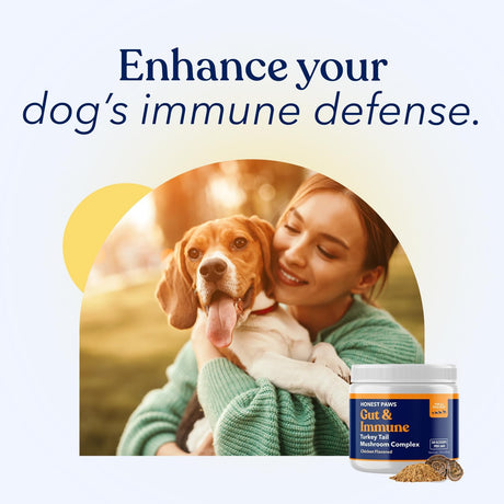 HONEST PAWS - Honest Paws Turkey Tail Mushroom for Dogs 30 Servicios 30Gr. - The Red Vitamin MX - Suplementos Herbales Para Perros - {{ shop.shopifyCountryName }}