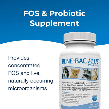 PETAG - PetAg Bene-Bac Plus FOS & Probiotics 127Gr. - The Red Vitamin MX - Probióticos Para Perros - {{ shop.shopifyCountryName }}