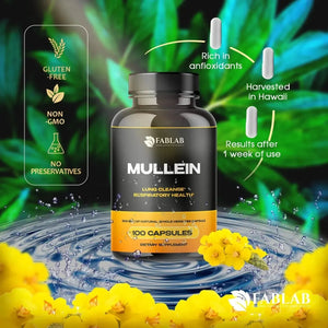 FABLAB - FabLab Mullein Leaf 500Mg. 100 Capsulas - The Red Vitamin MX - Suplementos Alimenticios - {{ shop.shopifyCountryName }}