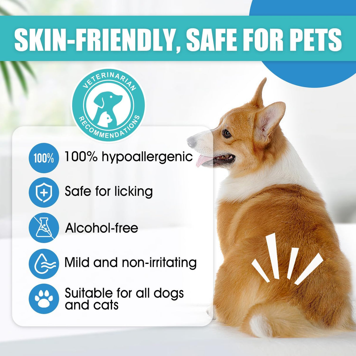 Pawsitive Vibes Medicated Instant Dog Anal Spray Kit