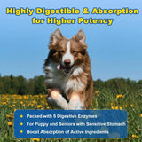 SHINEPAWS - SHINEPAWS Glucosamine for Dogs 120 Masticables - The Red Vitamin MX - Cuidado De Cadera Y Articulaciones Para Perros - {{ shop.shopifyCountryName }}