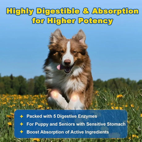 SHINEPAWS - SHINEPAWS Glucosamine for Dogs 120 Masticables - The Red Vitamin MX - Cuidado De Cadera Y Articulaciones Para Perros - {{ shop.shopifyCountryName }}