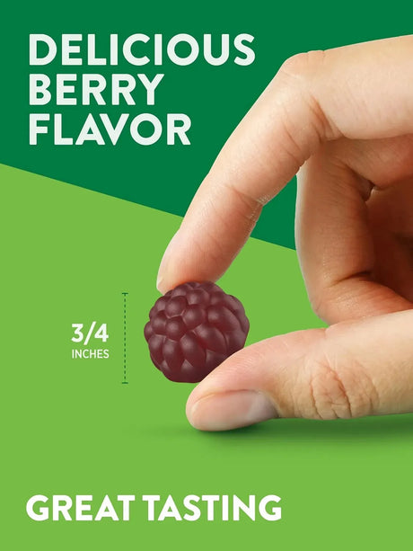 NATURE'S TRUTH - Nature's Truth Black Elderberry Gummies 50 Gomitas - The Red Vitamin MX - Suplementos Alimenticios - {{ shop.shopifyCountryName }}