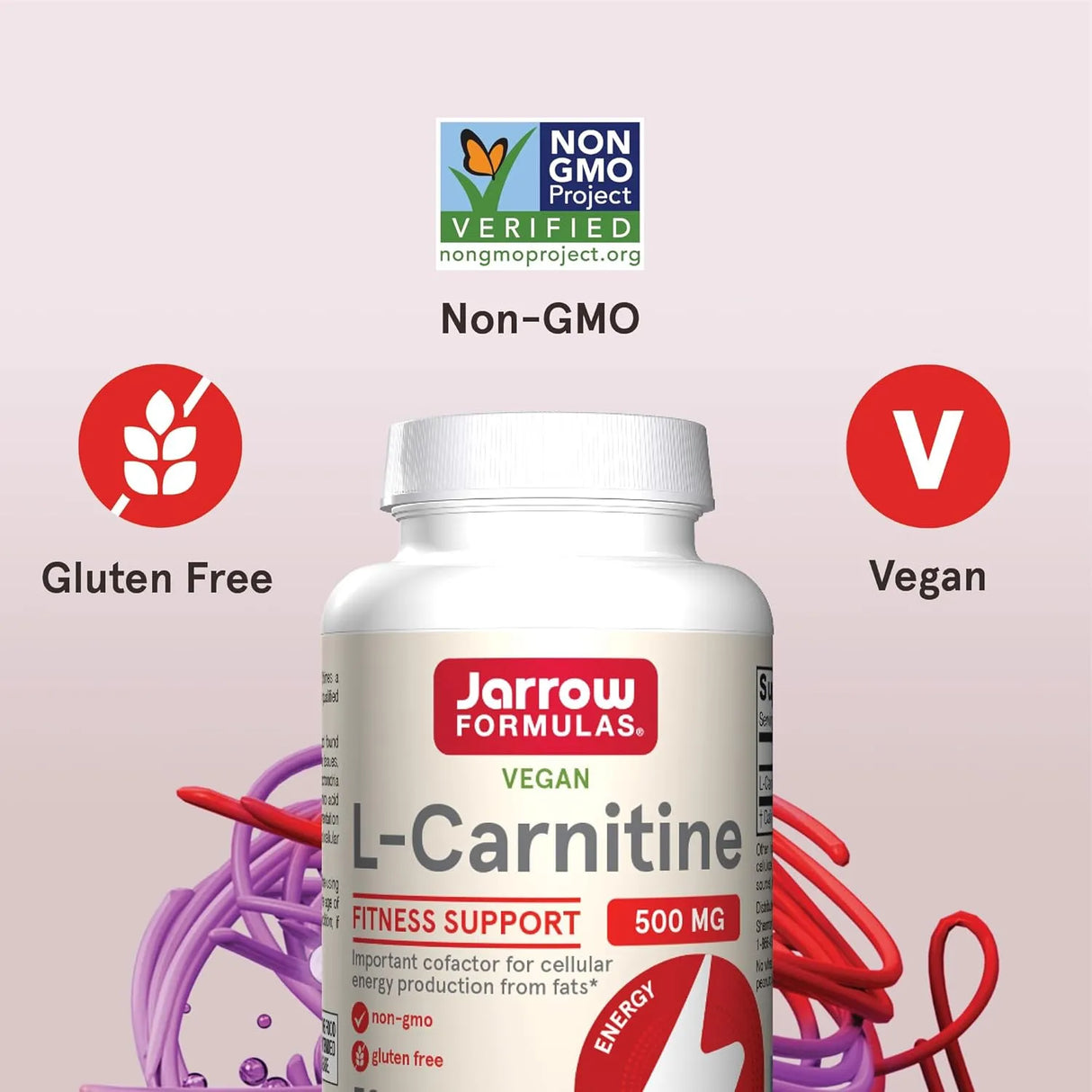 JARROW FORMULAS - Jarrow Formulas L-Carnitine 500Mg. 50 Capsulas - The Red Vitamin MX - Suplementos Alimenticios - {{ shop.shopifyCountryName }}