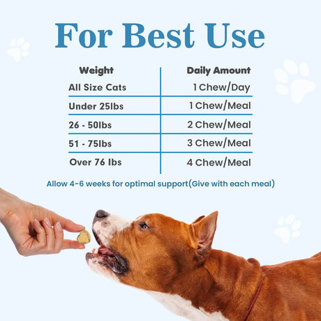 BIGHERO - Bighero Probiotics for Dogs 180 Masticables - The Red Vitamin MX - Probióticos Para Perros - {{ shop.shopifyCountryName }}