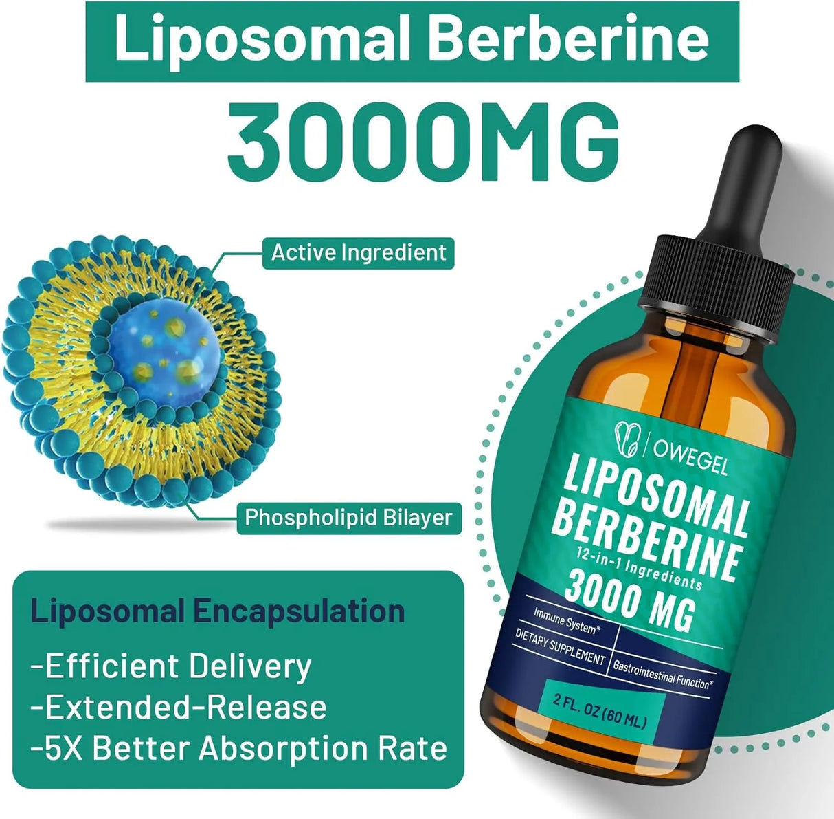 OWEGEL - Owegel Berberine HCL 3,000Mg. 60Ml. 2 Pack - The Red Vitamin MX - Suplementos Alimenticios - {{ shop.shopifyCountryName }}