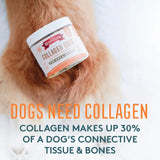THE MISSING LINK - The Missing Link Collagen Care Hip & Joint Soft Chews 60 Masticables - The Red Vitamin MX - Cuidado De Cadera Y Articulaciones Para Perros - {{ shop.shopifyCountryName }}