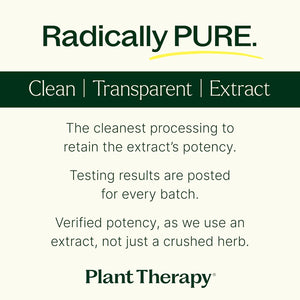 Plant Therapy Tart Cherry with Elderberry 120 Capsulas