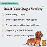 NATURAL DOG - Natural Dog Company Wild Alaskan Salmon Oil Formula with Omega 3 16 F.Oz. - The Red Vitamin MX - Aceite De Pescado Para Perros - {{ shop.shopifyCountryName }}