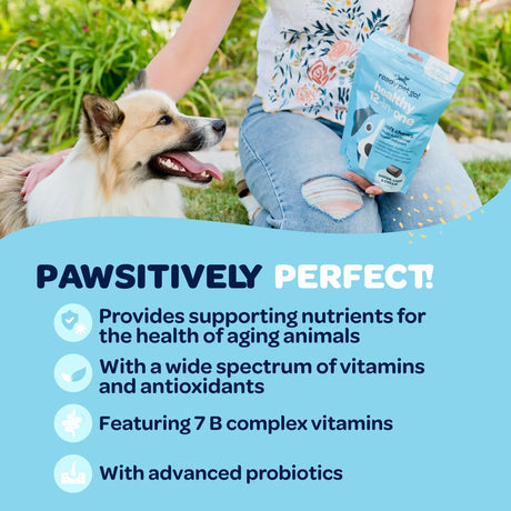READY PET GO - Ready Pet Go! 12-in-1 Complete Multivitamin for Dogs 60 Masticables - The Red Vitamin MX - Multivitamínicos Para Perros - {{ shop.shopifyCountryName }}