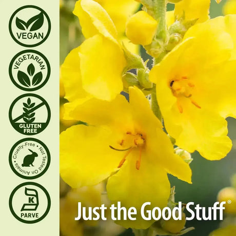 NATURE´S ANSWER - Nature's Answer Mullein Leaf 90 Capsulas - The Red Vitamin MX - Suplementos Alimenticios - {{ shop.shopifyCountryName }}
