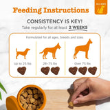 ZESTY PAWS - Zesty Paws Stay Green Bites for Dogs BEEF 90 Masticables - The Red Vitamin MX - Salud De Tracto Urinario Para Perros - {{ shop.shopifyCountryName }}