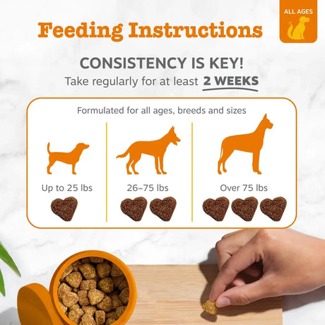 ZESTY PAWS - Zesty Paws Stay Green Bites for Dogs BEEF 90 Masticables - The Red Vitamin MX - Salud De Tracto Urinario Para Perros - {{ shop.shopifyCountryName }}