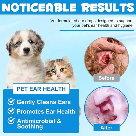 OIMMAL - OIMMAL Cat & Dog Ear Infection Treatment Drops 60Ml. - The Red Vitamin MX - Cuidado Del Oído De Perros - {{ shop.shopifyCountryName }}