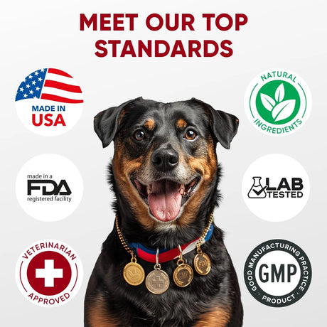 PAWZITIVE PETS - Pawzitive Pets Probiotics for Dogs Digestive Health 120 Masticables - The Red Vitamin MX - Probióticos Para Perros - {{ shop.shopifyCountryName }}