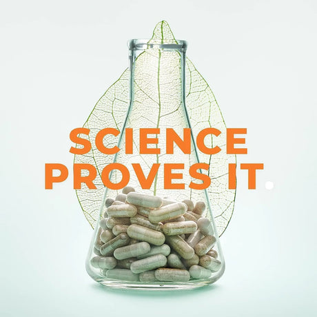 LIFE SEASONS - LifeSeasons Prostate Support 60 Capsulas Blandas 2 Pack - The Red Vitamin MX - Suplementos Alimenticios - {{ shop.shopifyCountryName }}