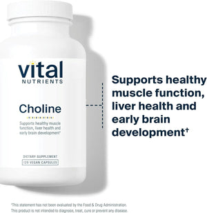 VITAL NUTRIENTS - Vital Nutrients Choline 550Mg. 120 Capsulas - The Red Vitamin MX - Suplementos Alimenticios - {{ shop.shopifyCountryName }}