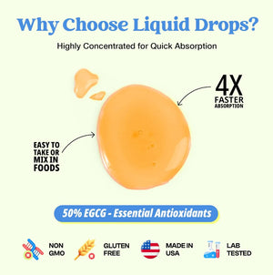 DROPS OF NATURE - Drops Of Nature Green Tea Liquid Drops 2500Mg. 2 Fl.Oz. - The Red Vitamin MX - Suplementos Alimenticios - {{ shop.shopifyCountryName }}