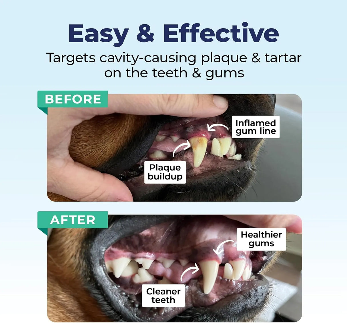 VETNIQUE - Vetnique Dentabliss Dog Teeth Cleaning Finger Mitt Dental Wipe Peppermint 50 Toallitas - The Red Vitamin MX - Cuidado Dental Para Perros - {{ shop.shopifyCountryName }}