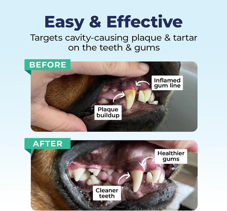 VETNIQUE - Vetnique Dentabliss Dog Teeth Cleaning Finger Mitt Dental Wipe Peppermint 50 Toallitas - The Red Vitamin MX - Cuidado Dental Para Perros - {{ shop.shopifyCountryName }}