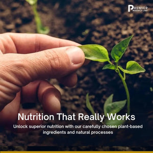 PREMIER RESEARCH LABS - Premier Research Labs Reishi Immune Support 90 Capsulas - The Red Vitamin MX - Suplementos Alimenticios - {{ shop.shopifyCountryName }}