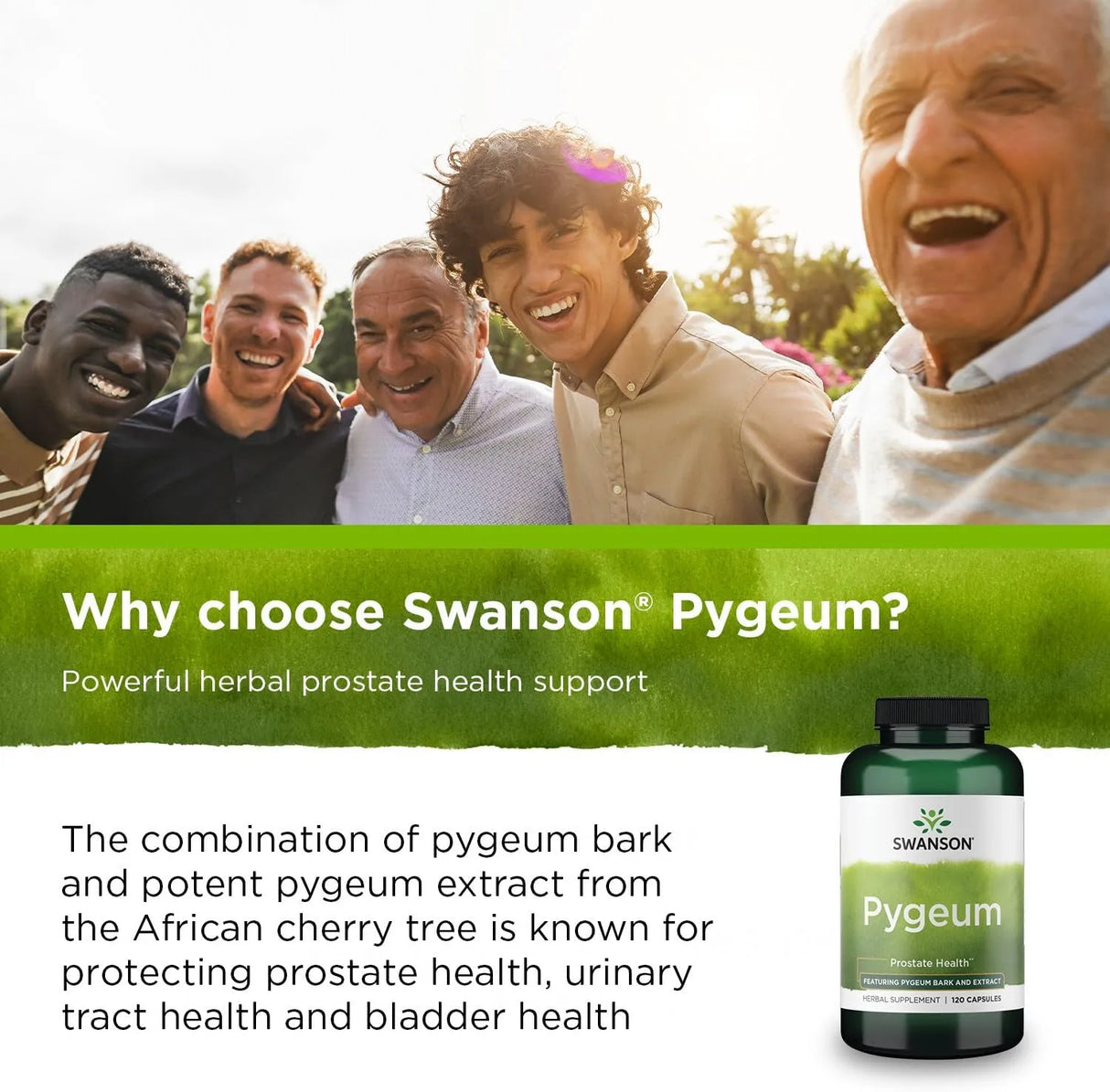 SWANSON - Swanson Pygeum 400Mg. 120 Capsulas 2 Pack - The Red Vitamin MX - Suplementos Alimenticios - {{ shop.shopifyCountryName }}