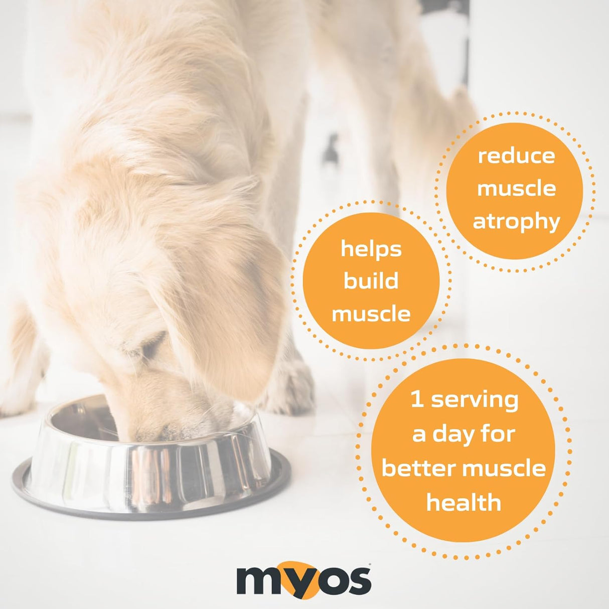MYOS Canine Muscle Formula All-Natural Muscle Building Supplement 180Gr.