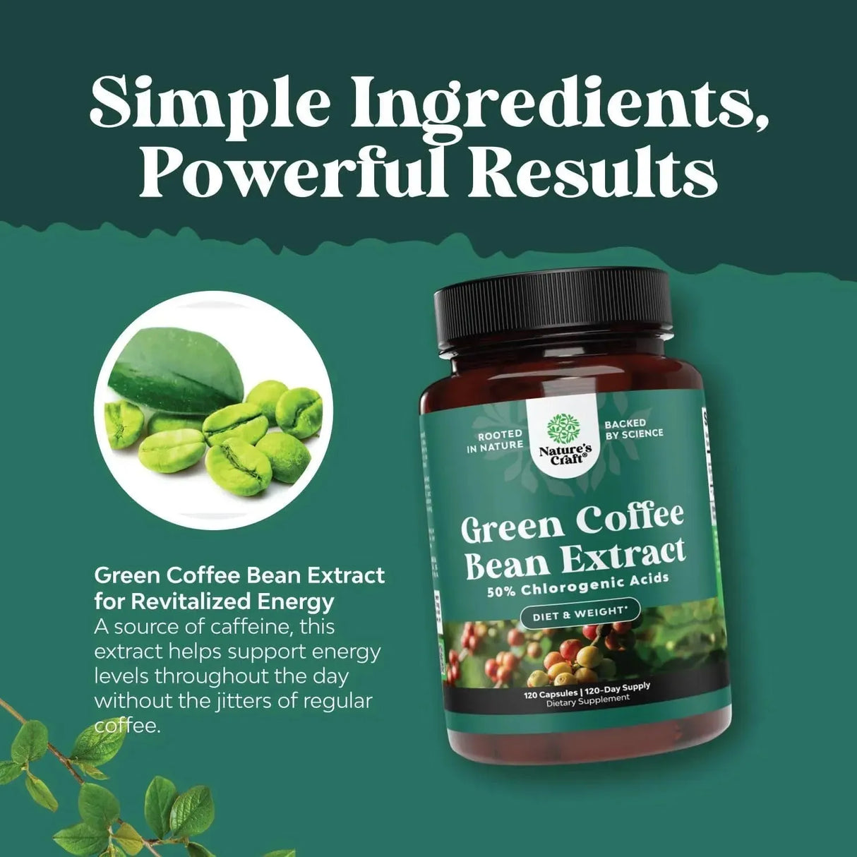 NATURES CRAFT - Natures Craft Green Coffee Bean Extract 120 Capsulas - The Red Vitamin MX - Suplementos Alimenticios - {{ shop.shopifyCountryName }}