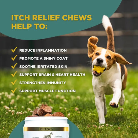 PETSCY - PetScy Dog Itch Relief Chews 30 Masticables - The Red Vitamin MX - Remedios Para La Picazón De Perros - {{ shop.shopifyCountryName }}