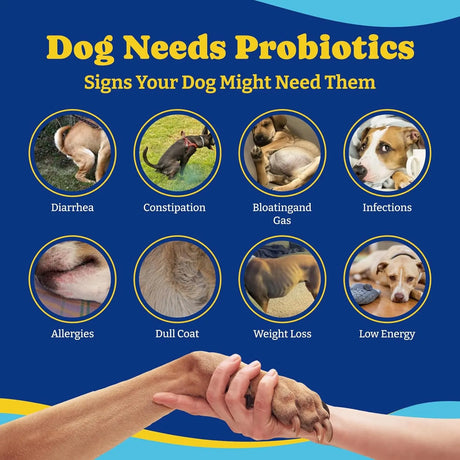 YOYOBAY - YoYoBay Probiotics for Dogs Salmon & Blueberry Flavor 180 Masticables - The Red Vitamin MX - Probióticos Para Perros - {{ shop.shopifyCountryName }}