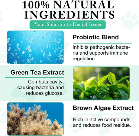 ARMOYA - ARMOYA Dog Dental Powder 100Gr. 2 Pack - The Red Vitamin MX - Cuidado Dental Para Perros - {{ shop.shopifyCountryName }}