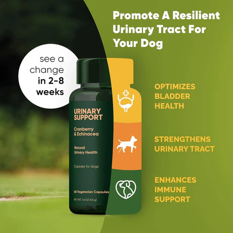 ROOTED OWL - Rooted Owl Urinary Support 60 Capsulas - The Red Vitamin MX - Salud De Tracto Urinario Para Perros - {{ shop.shopifyCountryName }}